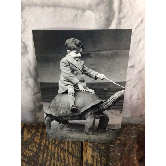 Reprint Photo Odd Bizzare Boy Riding Turtle Reprint Vintage - Picture 7 of 10